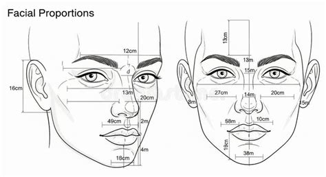 Diagram illustrating Picsart's facial feature adjustment tools