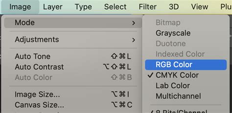 Screenshot of Photoshop's 