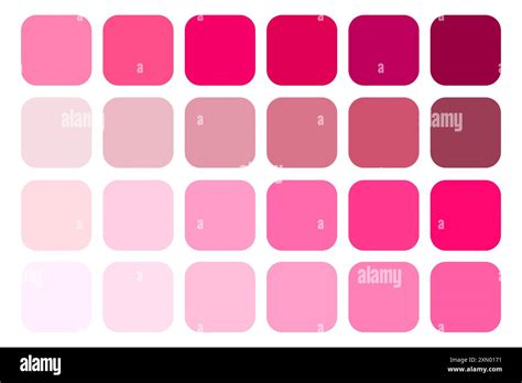 A gradient of various pink shades from light to dark