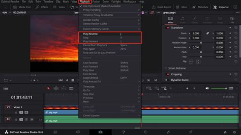 DaVinci Resolve playback indicator