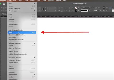 Adobe InDesign Place dialog box with import options