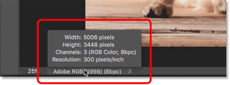Photoshop Status Bar showing Zoom Percentage
