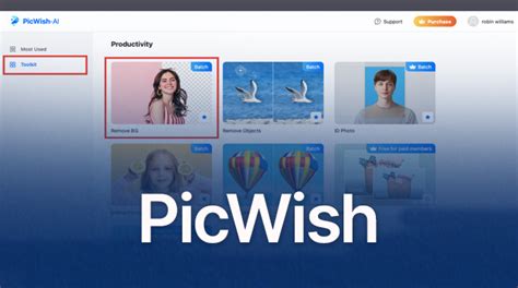 PicWish AI platform interface