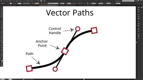 Vector path nodes and handles