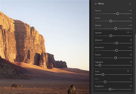 Screenshot of Adobe Camera Raw's Effects panel showing the Post-Crop Vignetting controls