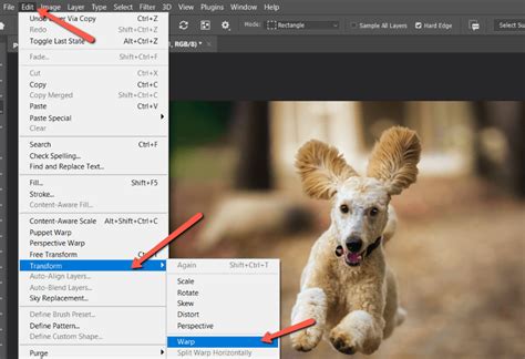 Photoshop menu showing Edit > Transform > Warp