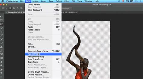 Photoshop Puppet Warp tool with pins on a subject