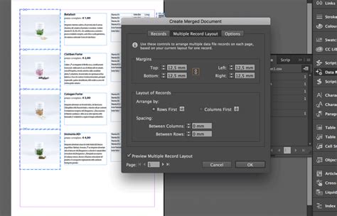 InDesign Data Merge - Multiple Records Layout options