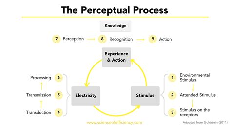 Perceptual rendering concept diagram