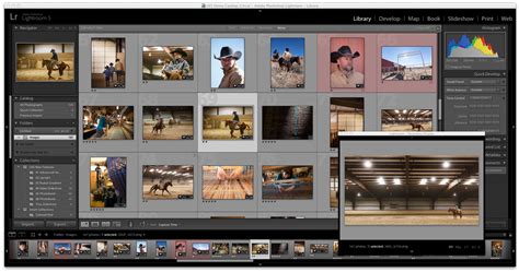 Lightroom Classic Library module grid view with photos selected
