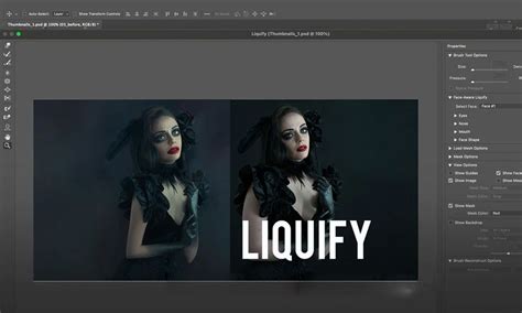 Demonstration of the Liquify tool in Photoshop