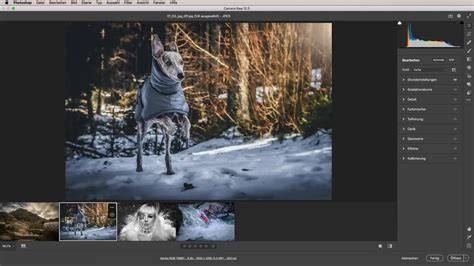 Screenshot of Adobe Camera RAW export dialog showing AVIF format option