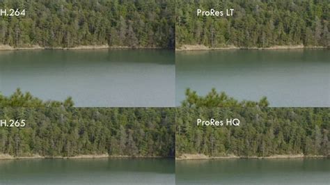 ProRes vs DNxHD comparison chart