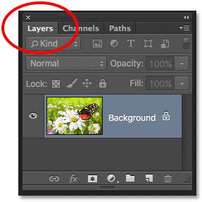Photoshop Layers Panel with Isolated Object