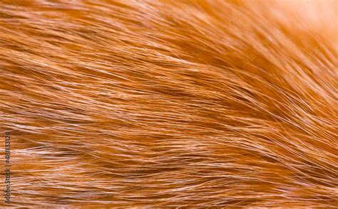 close-up of digital fur texture