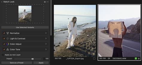 Capture One Match Look interface
