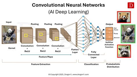 Diagram of a deep convolutional neural network