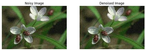 Comparison of denoised skin texture vs. original