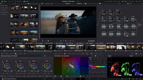 DaVinci Resolve Studio interface