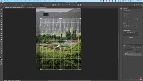 Screenshot of Photoshop with guides visible