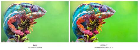 Examples of vibrant prints produced with extended color gamut
