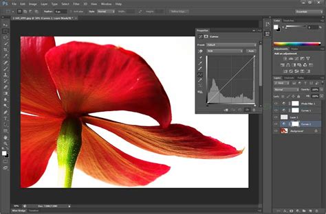 Screenshot of Adobe Photoshop interface showing photo editing tools