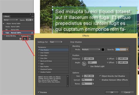 Adobe InDesign Effects Panel showing Drop Shadow options