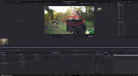 DaVinci Resolve right-click menu showing
