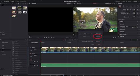 Screenshot of DaVinci Resolve Clip Attributes dialog box