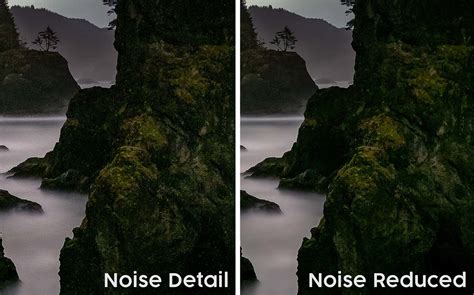 Close-up image showing noise reduction in a photograph