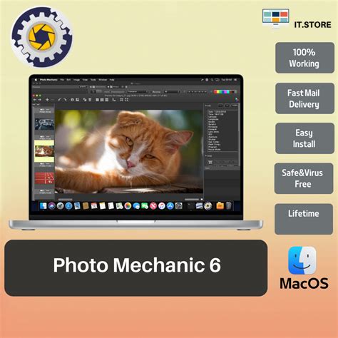 Photo Mechanic interface for rapid image culling and metadata editing