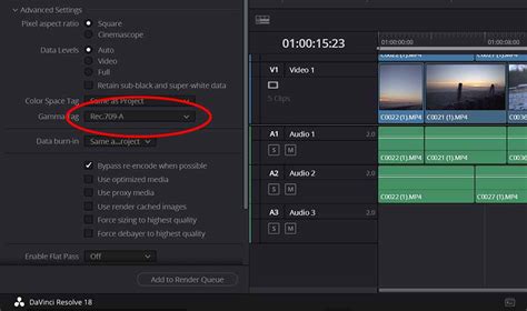 DaVinci Resolve Performance Settings