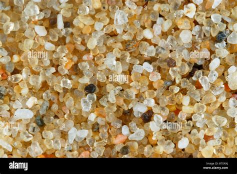 Close-up of diverse sand grains