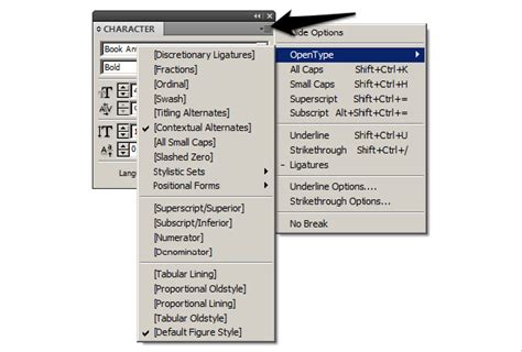 InDesign Character panel showing font size and leading options