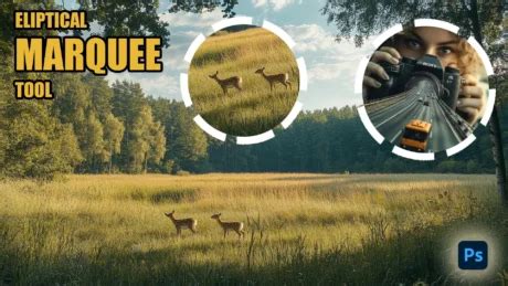 Example of a vignette effect created using the Elliptical Marquee Tool