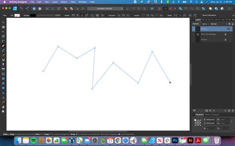 Affinity Designer Pen Tool creating a custom curved path