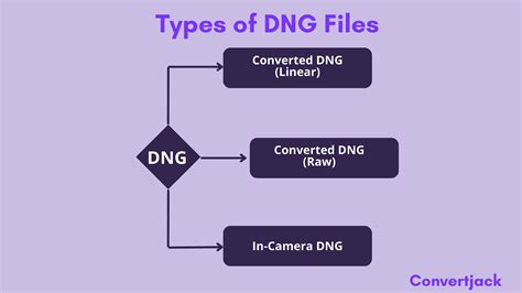Diagram showing the evolution of raw file formats leading to DNG