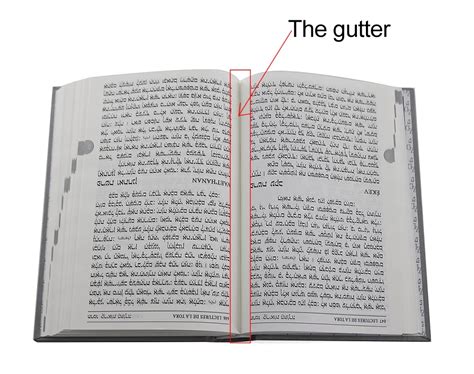 Illustration of facing pages in a book, highlighting the gutter between them and the spine.