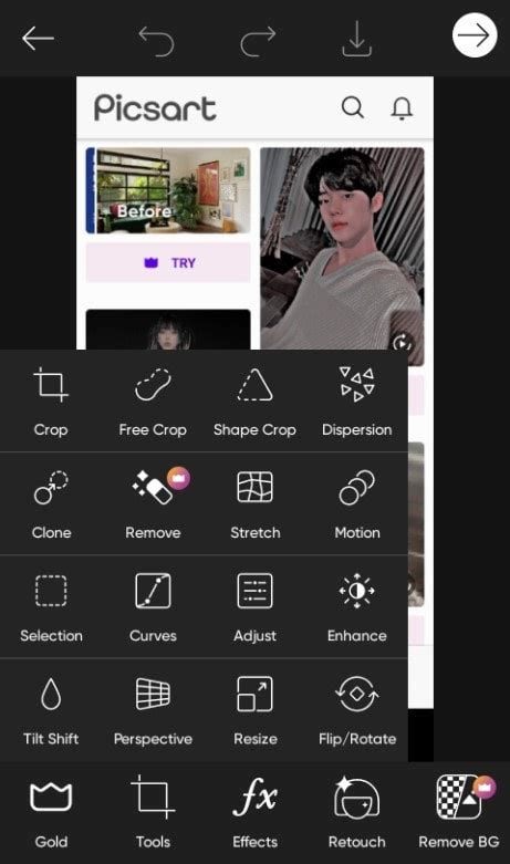 Screenshot of Picsart app interface with the Remove tool highlighted