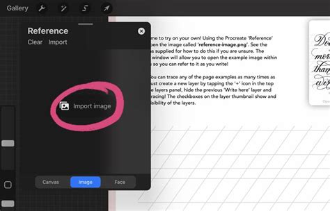 Screenshot of Procreate's Reference window showing the 