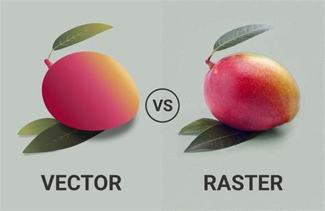 Illustrating the difference between vector and raster graphics