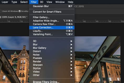 Photoshop Lens Correction Filter dialog box