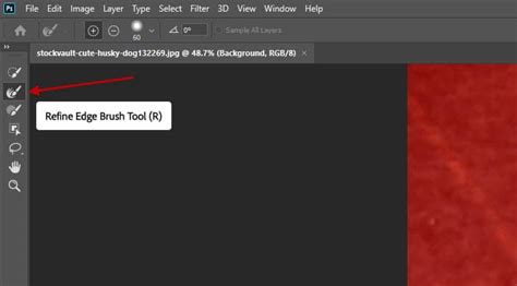 Photoshop's Select and Mask workspace with the Refine Edge Brush Tool in use