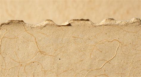 Close-up of aged parchment paper with visible fibers and discoloration