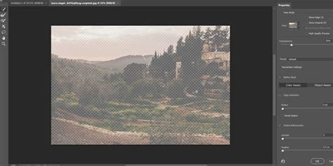 Photoshop's Select and Mask interface with 