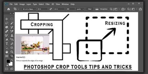 Photoshop Crop Tool interface with options