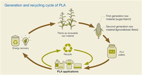 Renewable resources for PLA production