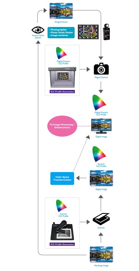 Color management workflow diagram