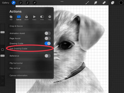Procreate Actions Menu with Drawing Guides highlighted