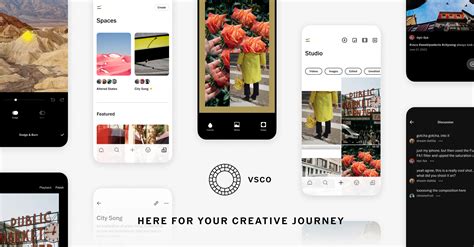 VSCO app interface with filters